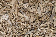 biomass boilers Foxcote